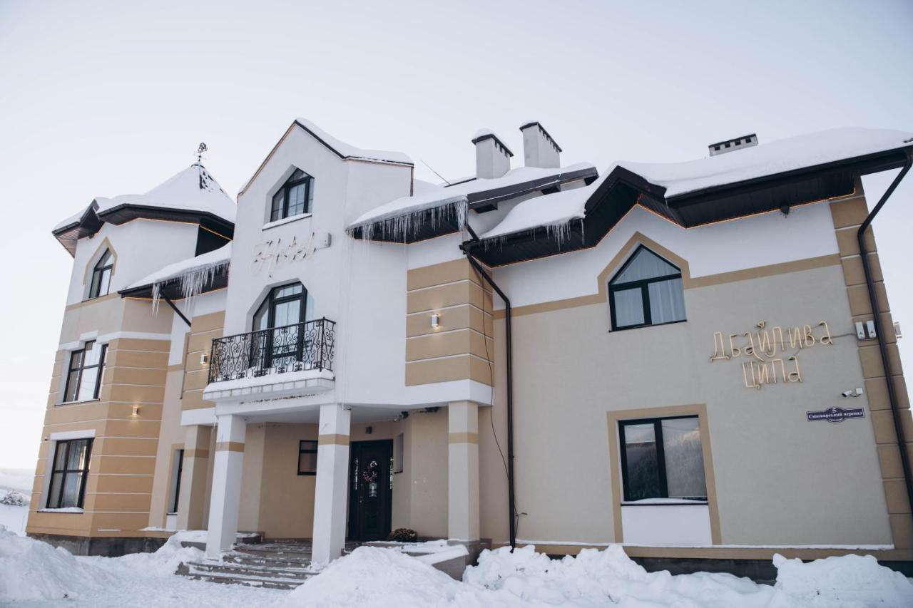 Дбайлива Ципа Bed and Breakfast Mizhhirya  Exteriör bild